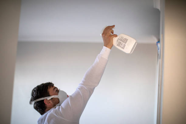 Best Preventive Mold Services in Ridgeway, VA